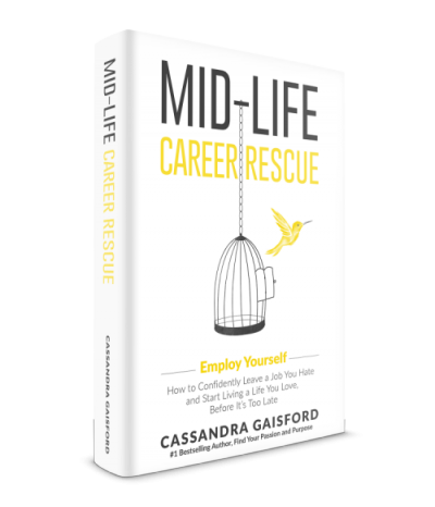 mid life career rescue my interview vesna hrsto lifecareer
